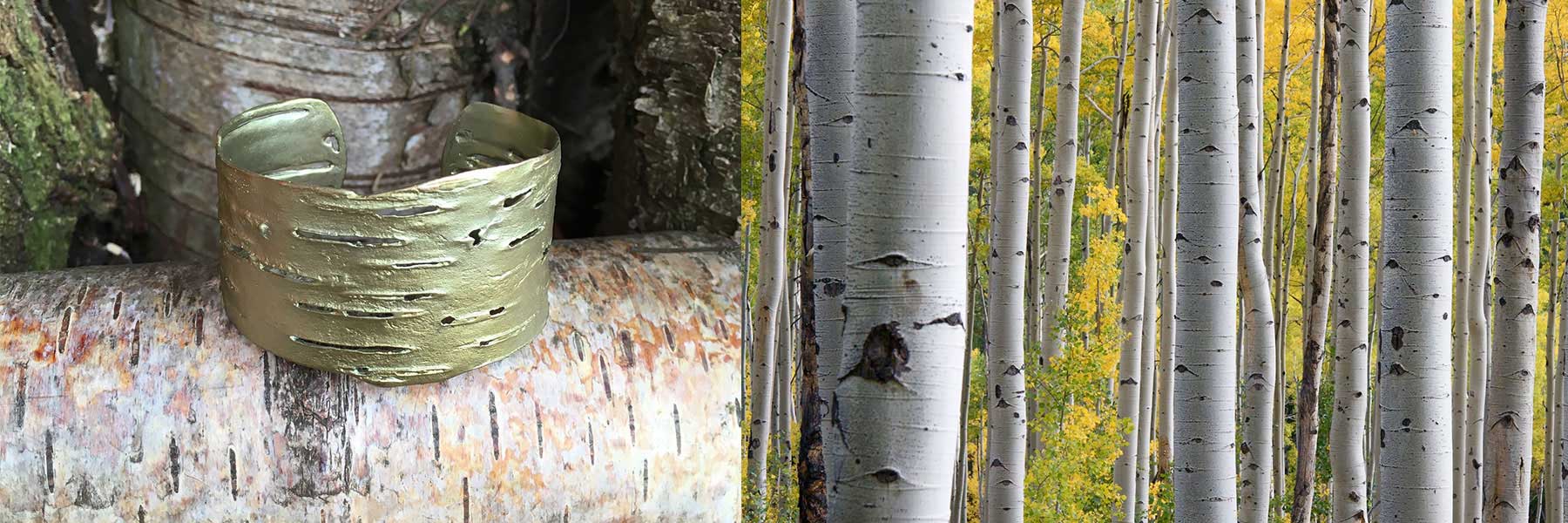 Birch Bark